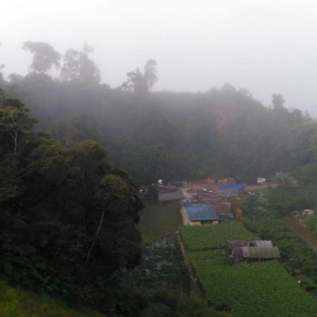 The Pines Hotel Kampung Kuala Terla Kültér fotó