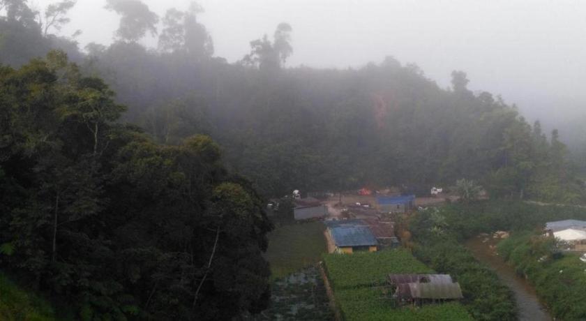 The Pines Hotel Kampung Kuala Terla Kültér fotó
