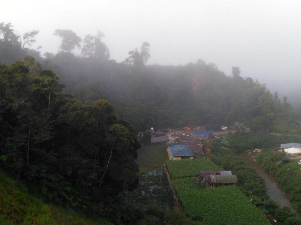 The Pines Hotel Kampung Kuala Terla Kültér fotó