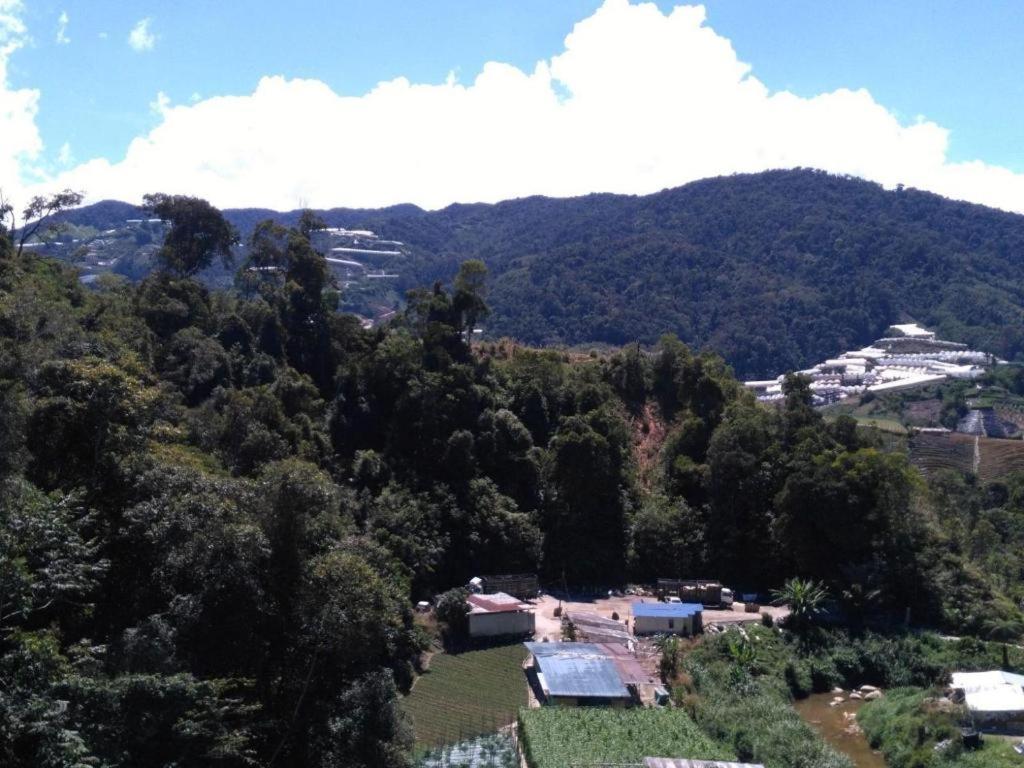 The Pines Hotel Kampung Kuala Terla Kültér fotó